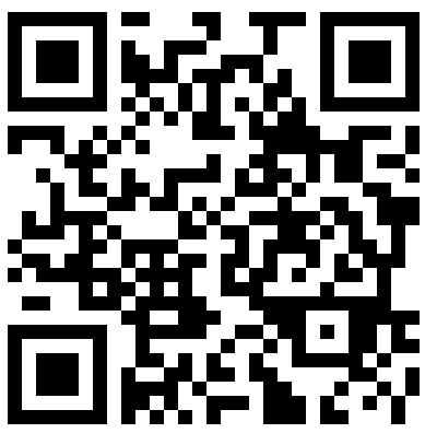 https://bus.gov.ru/qrcode/rate/658948